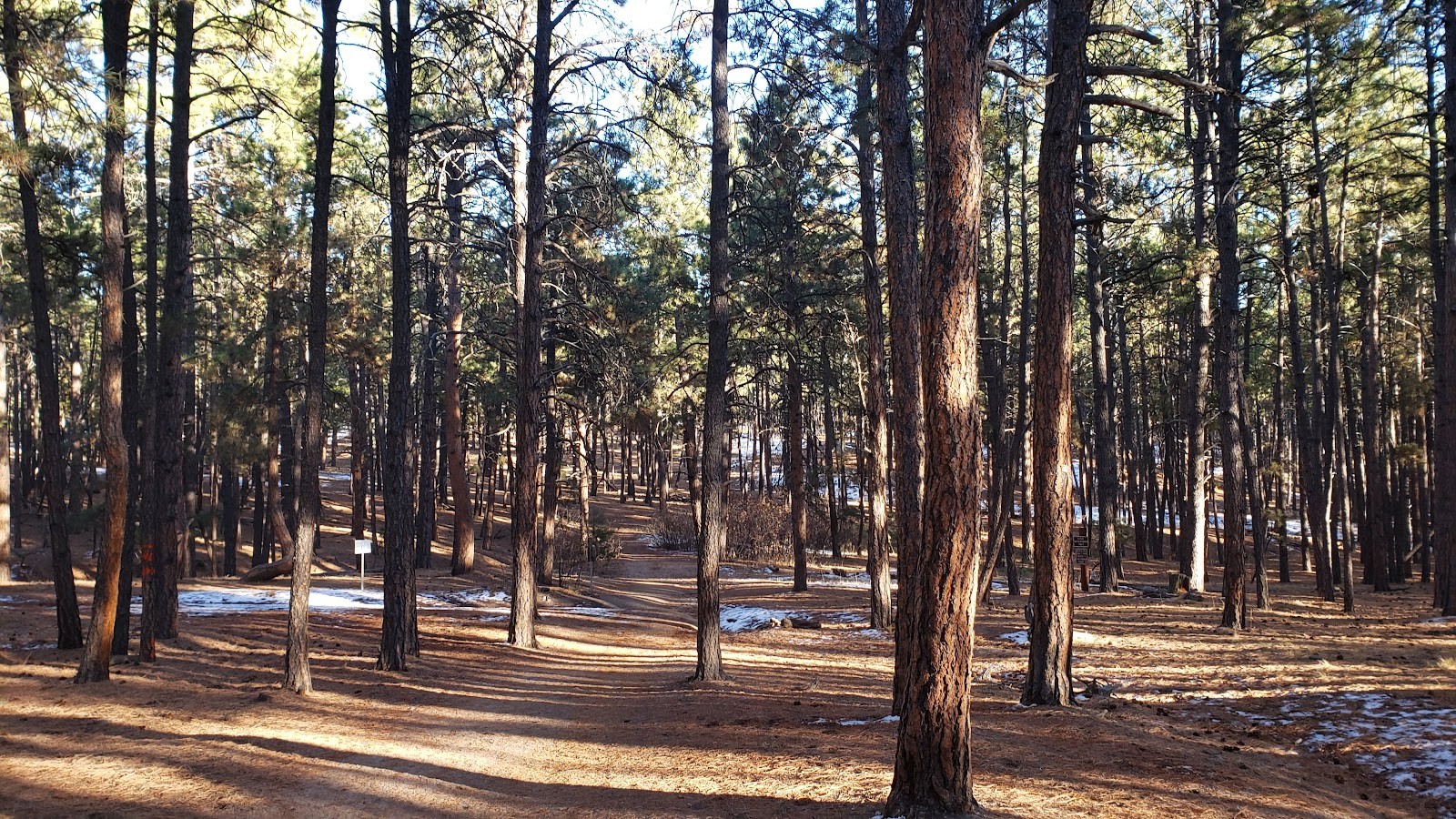 Black Forest CO cityscape