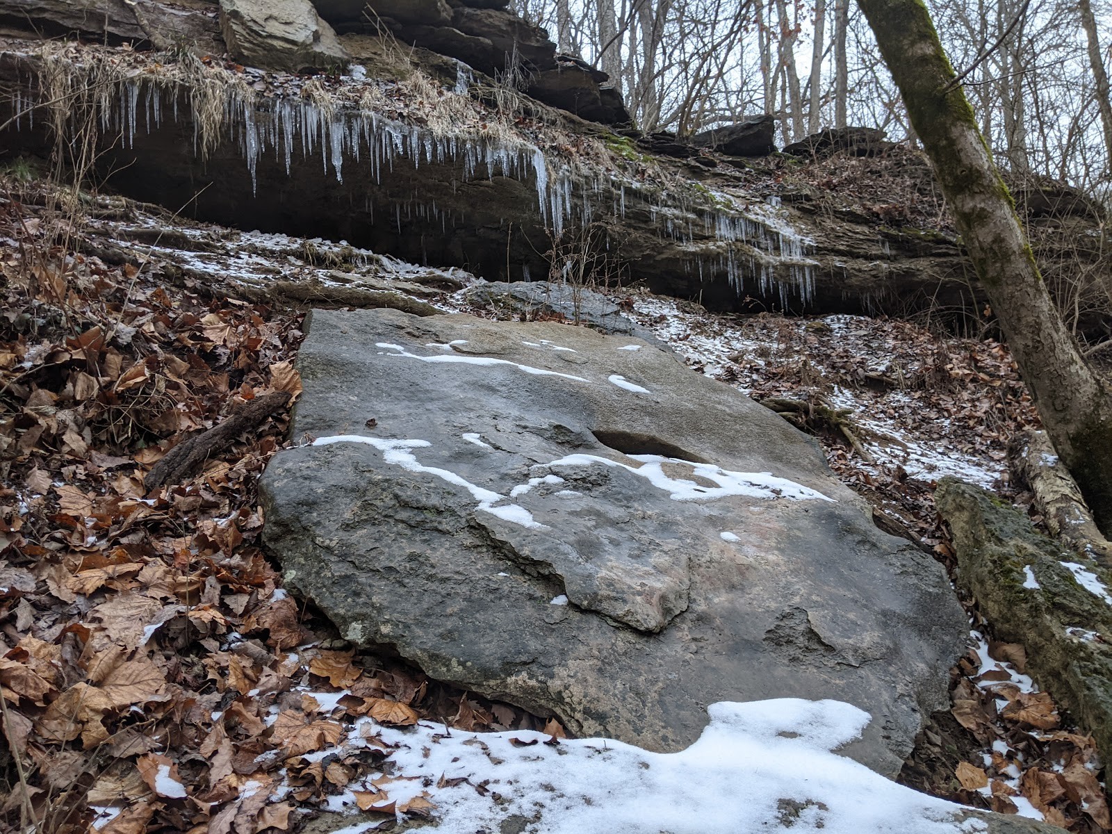 Bloomington IN cityscape