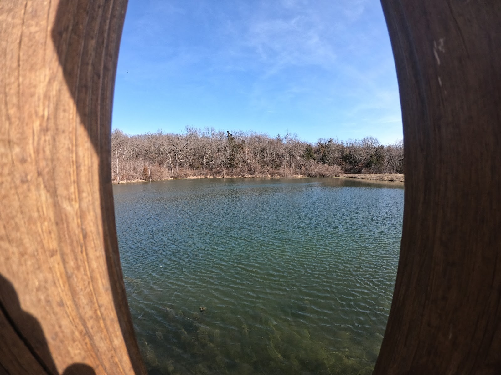 Blue Springs MO cityscape