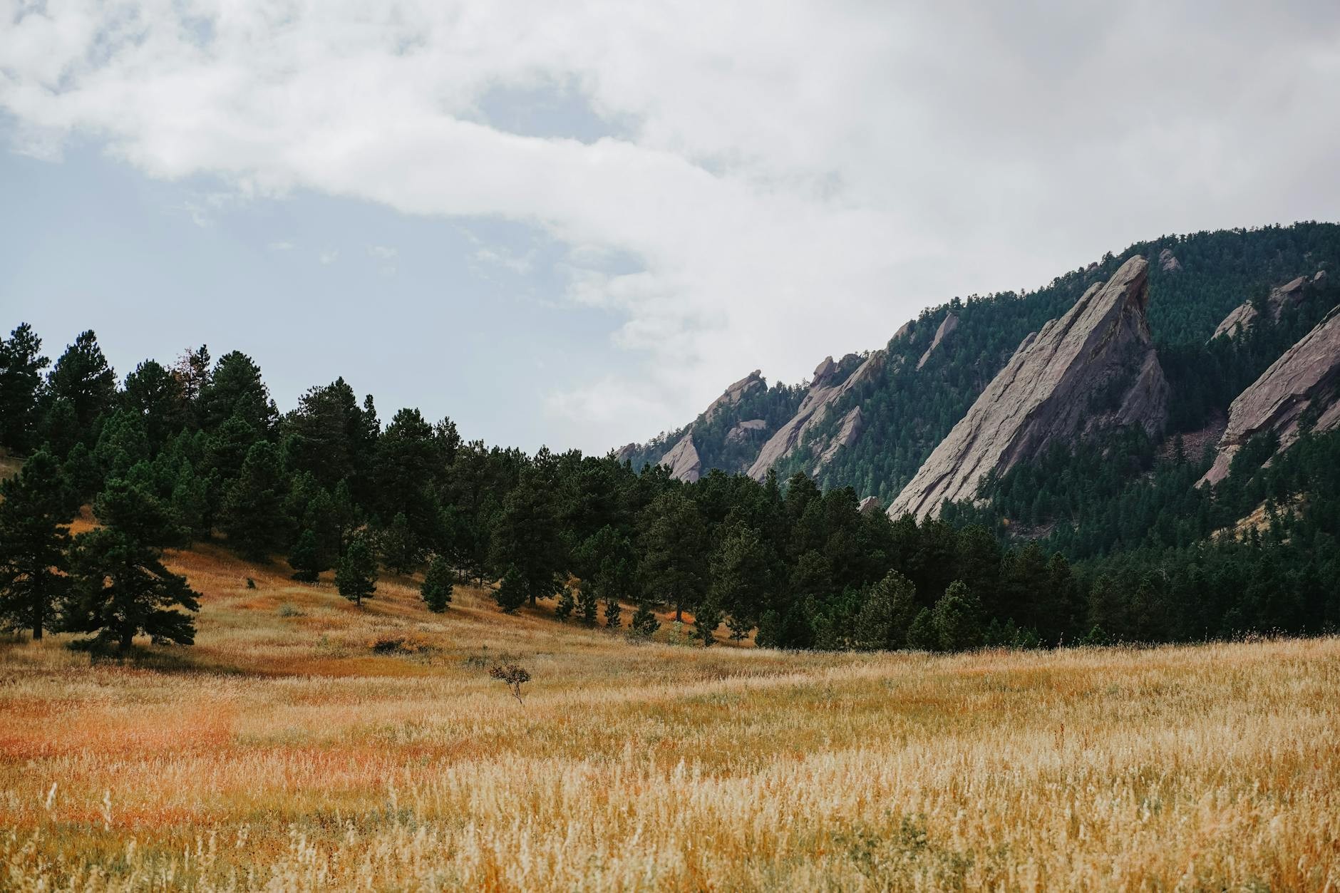 Boulder cityscape and skyline