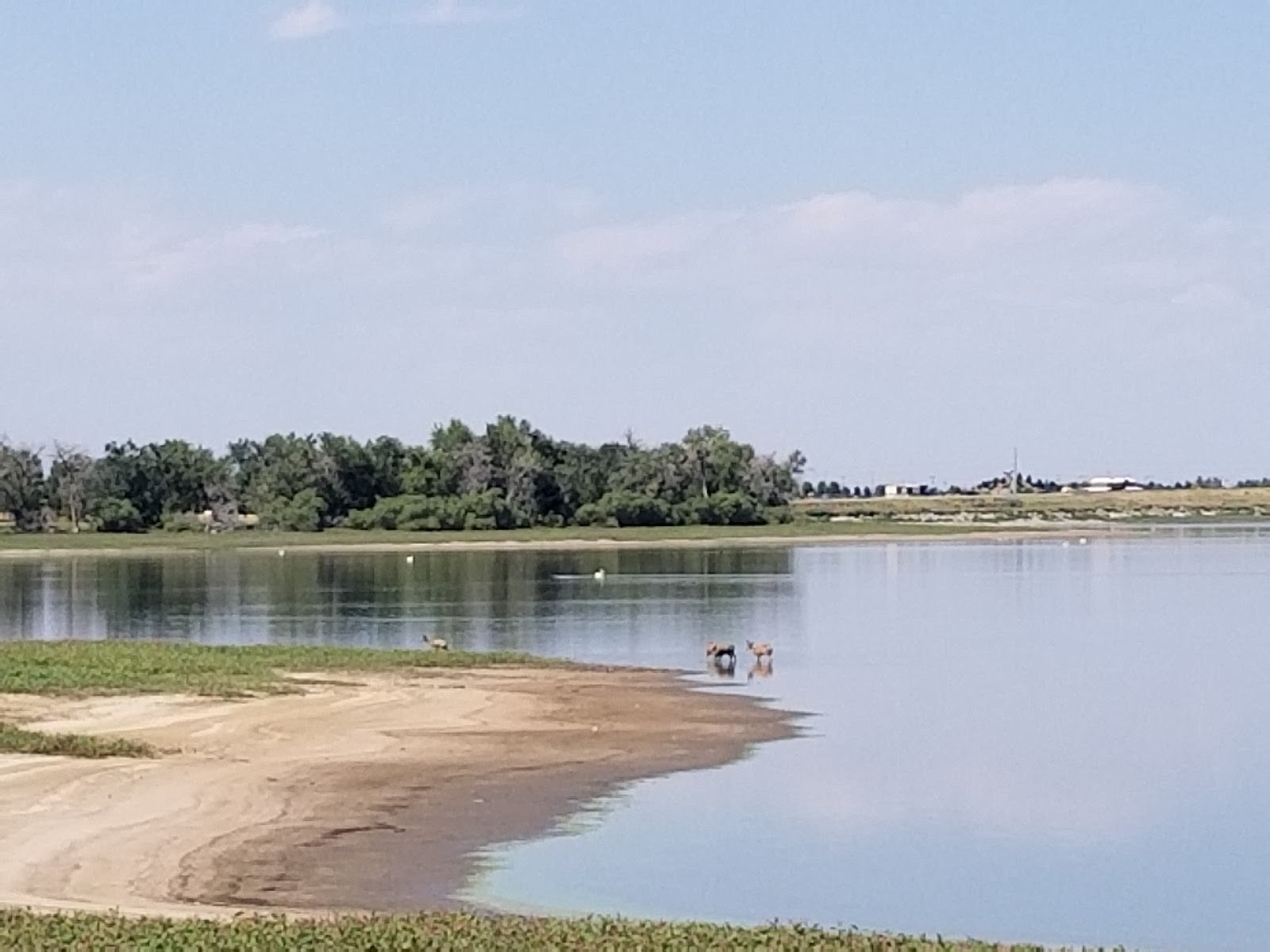 Brighton CO cityscape