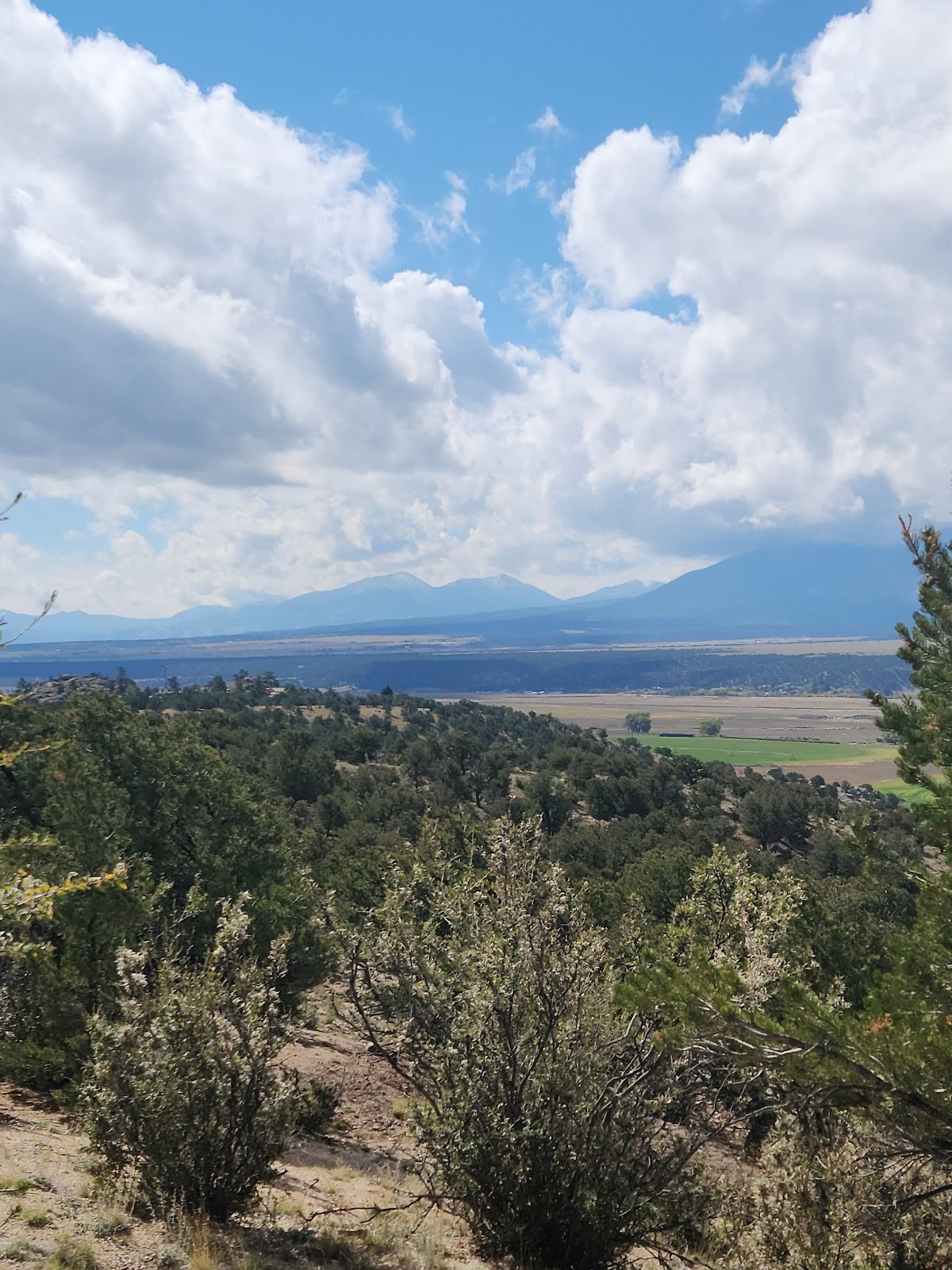 Buena Vista CO cityscape