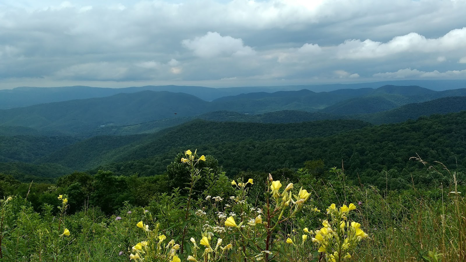 Charlottesville VA cityscape