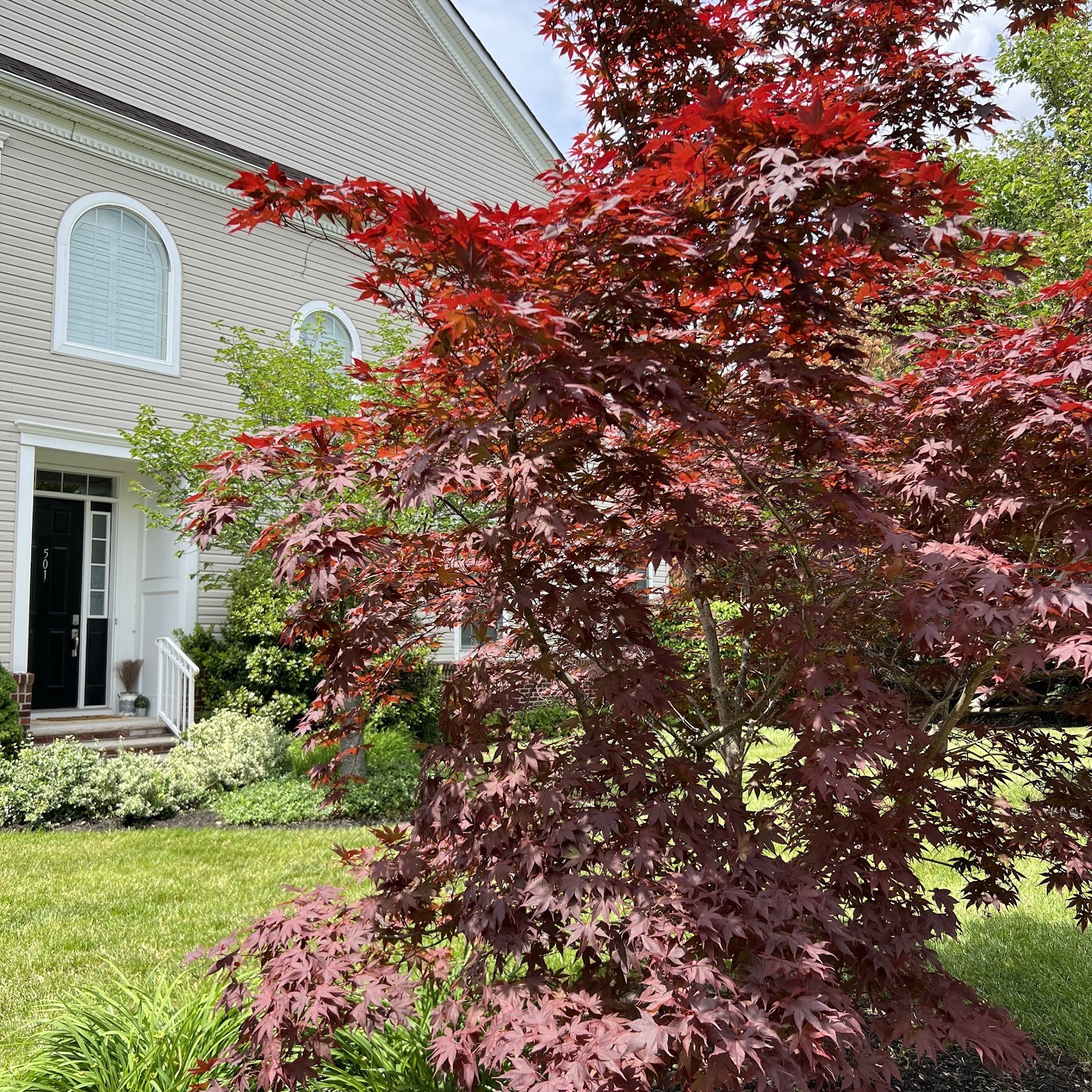 Cherry Hill NJ cityscape