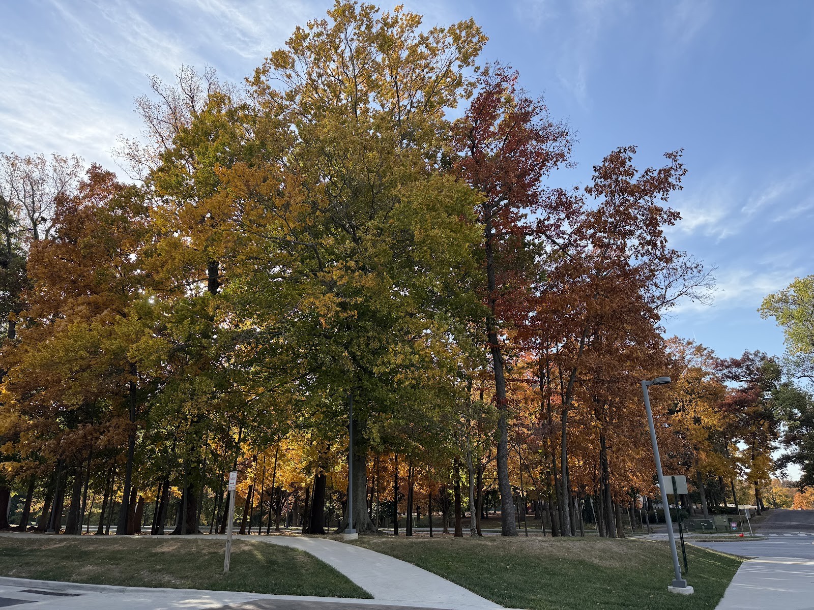 Columbia MD cityscape