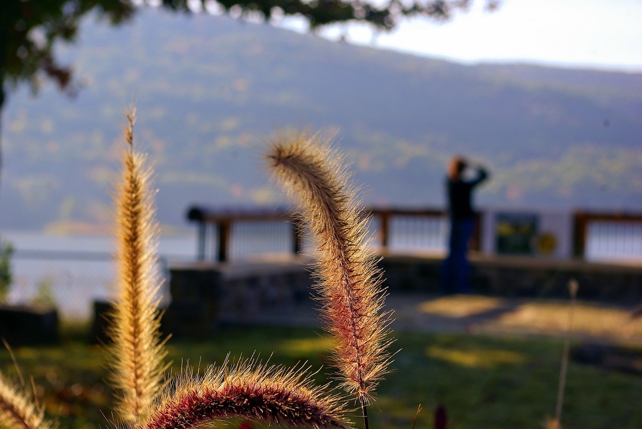 Fort Smith AR cityscape