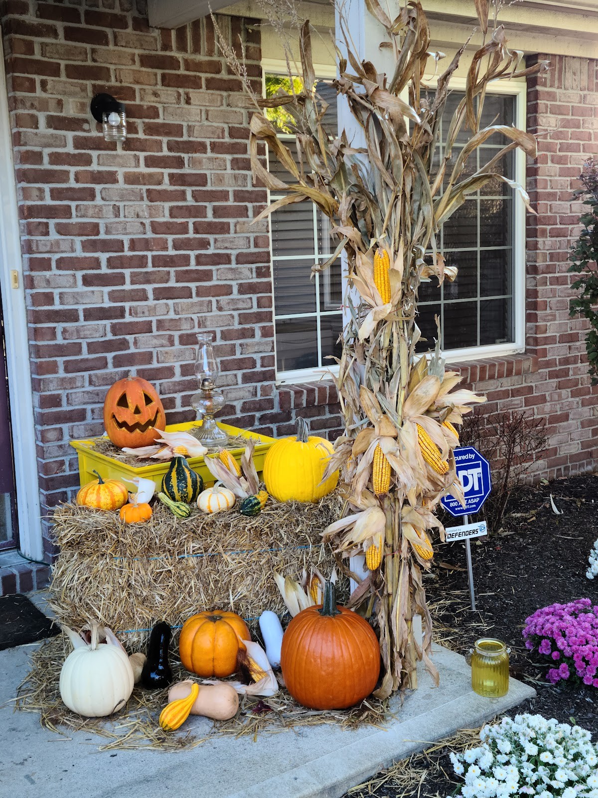 Greenwood IN cityscape