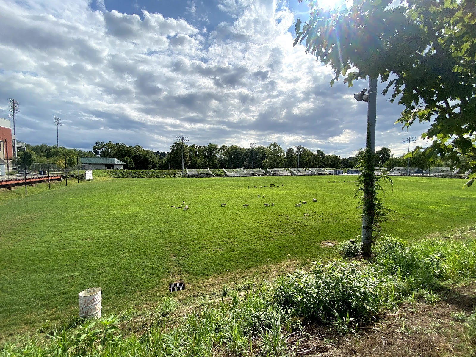 Harrisburg PA cityscape
