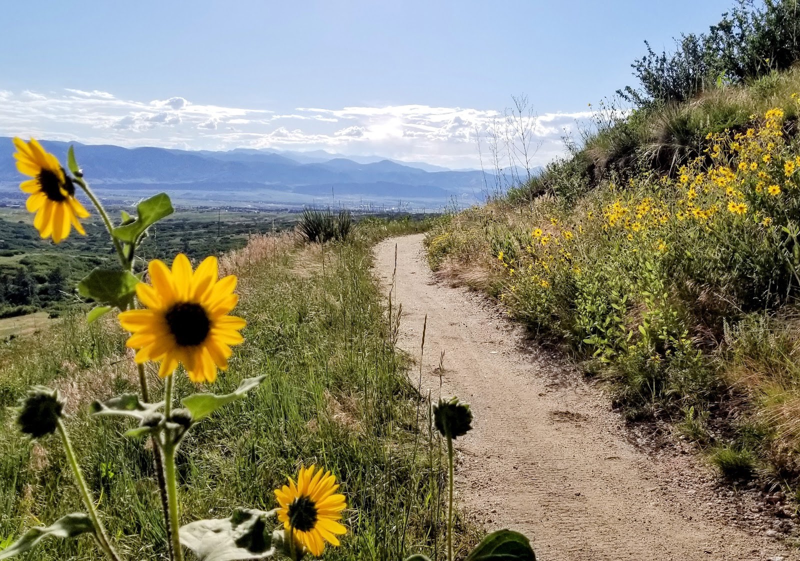 Highlands Ranch CO cityscape