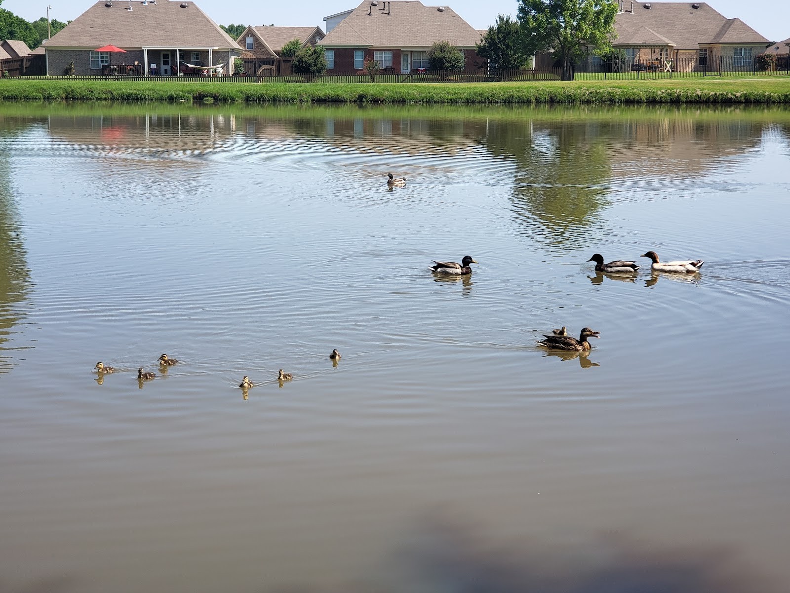Horn Lake MS cityscape