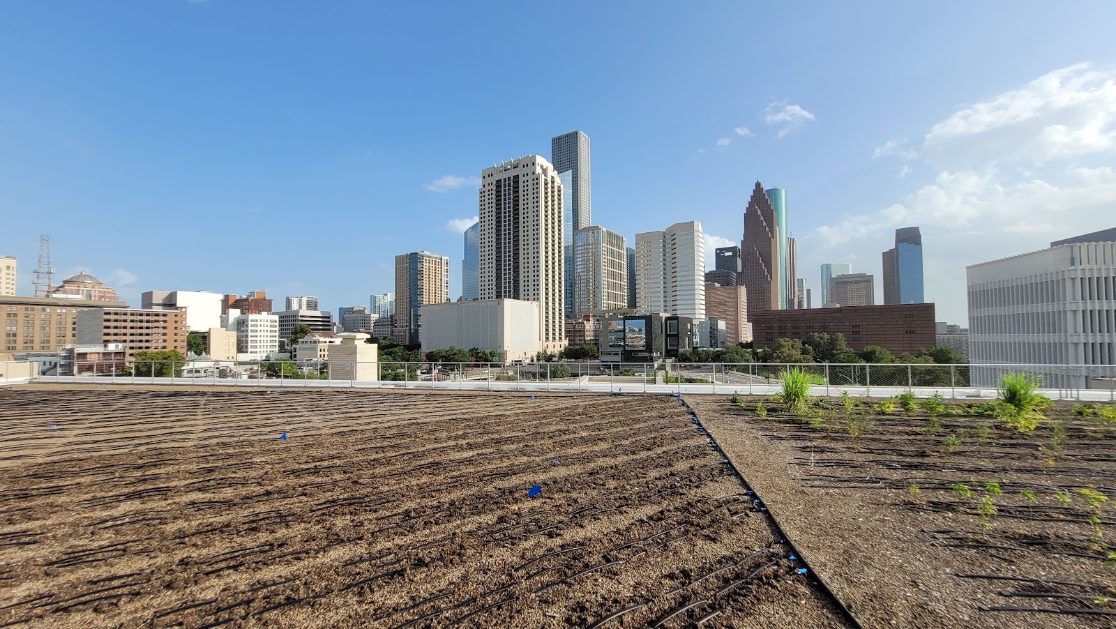 Houston TX cityscape