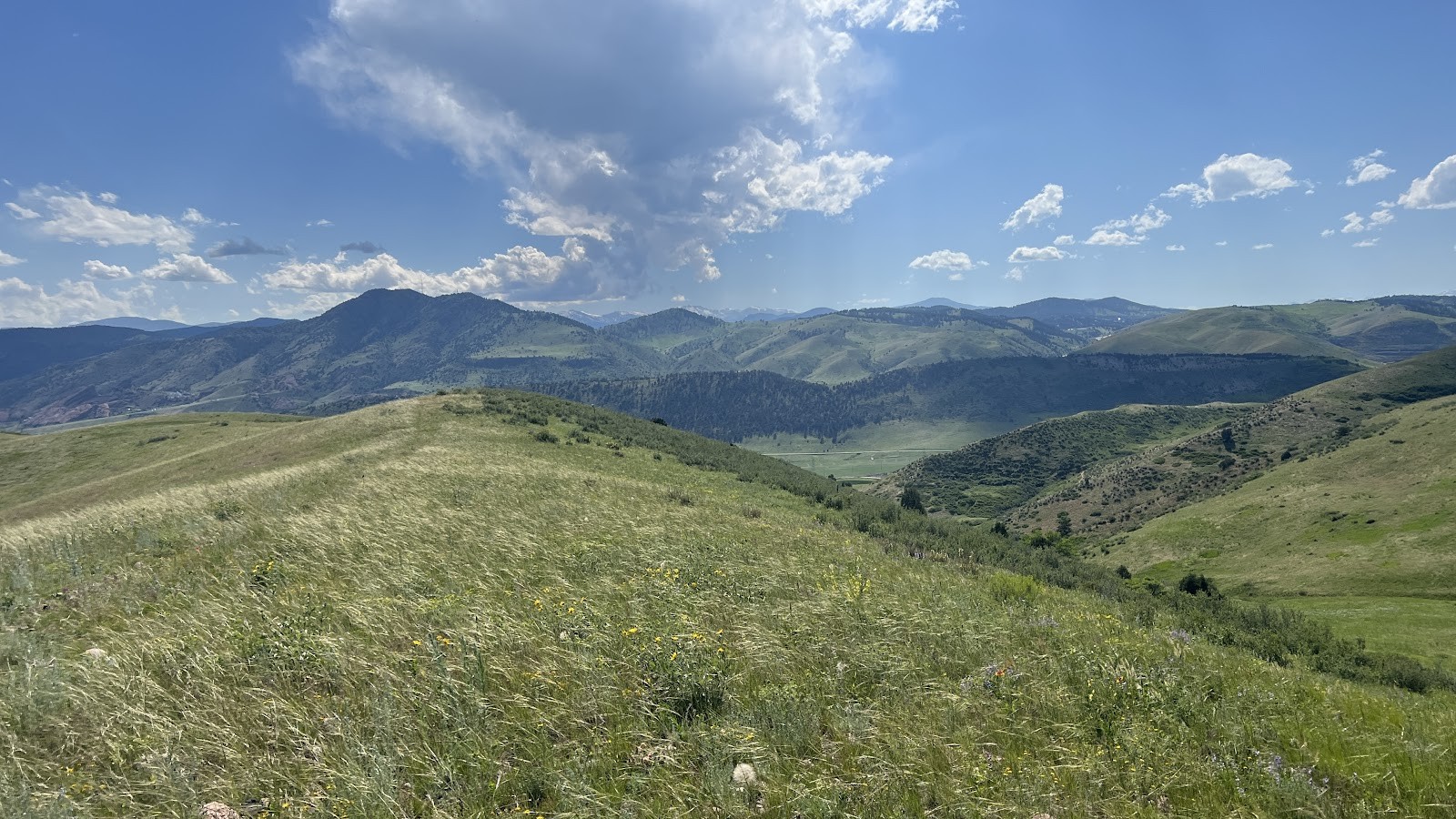 Lakewood CO cityscape