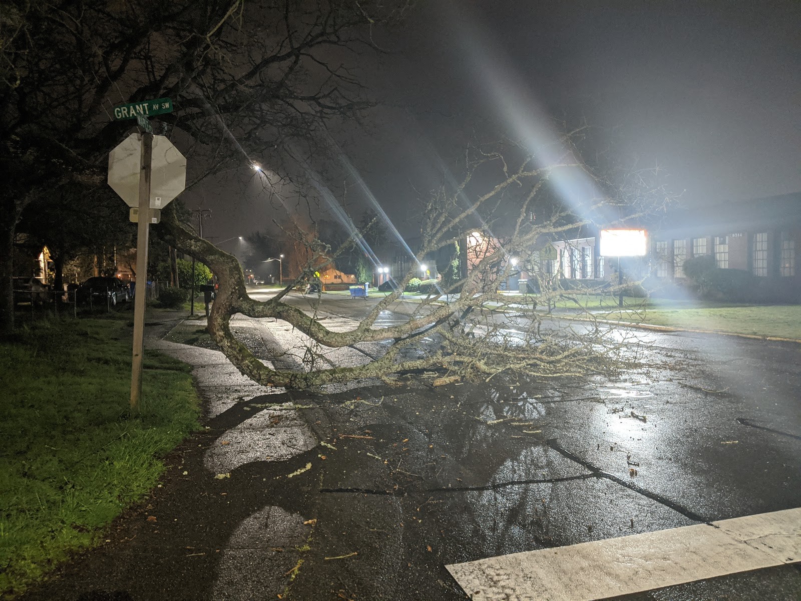Lakewood WA cityscape
