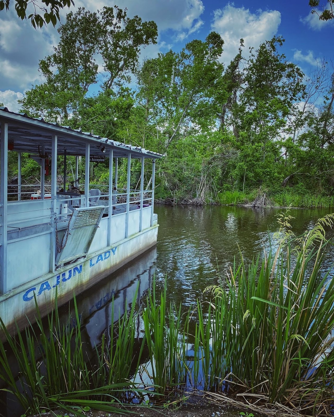 Laplace LA cityscape