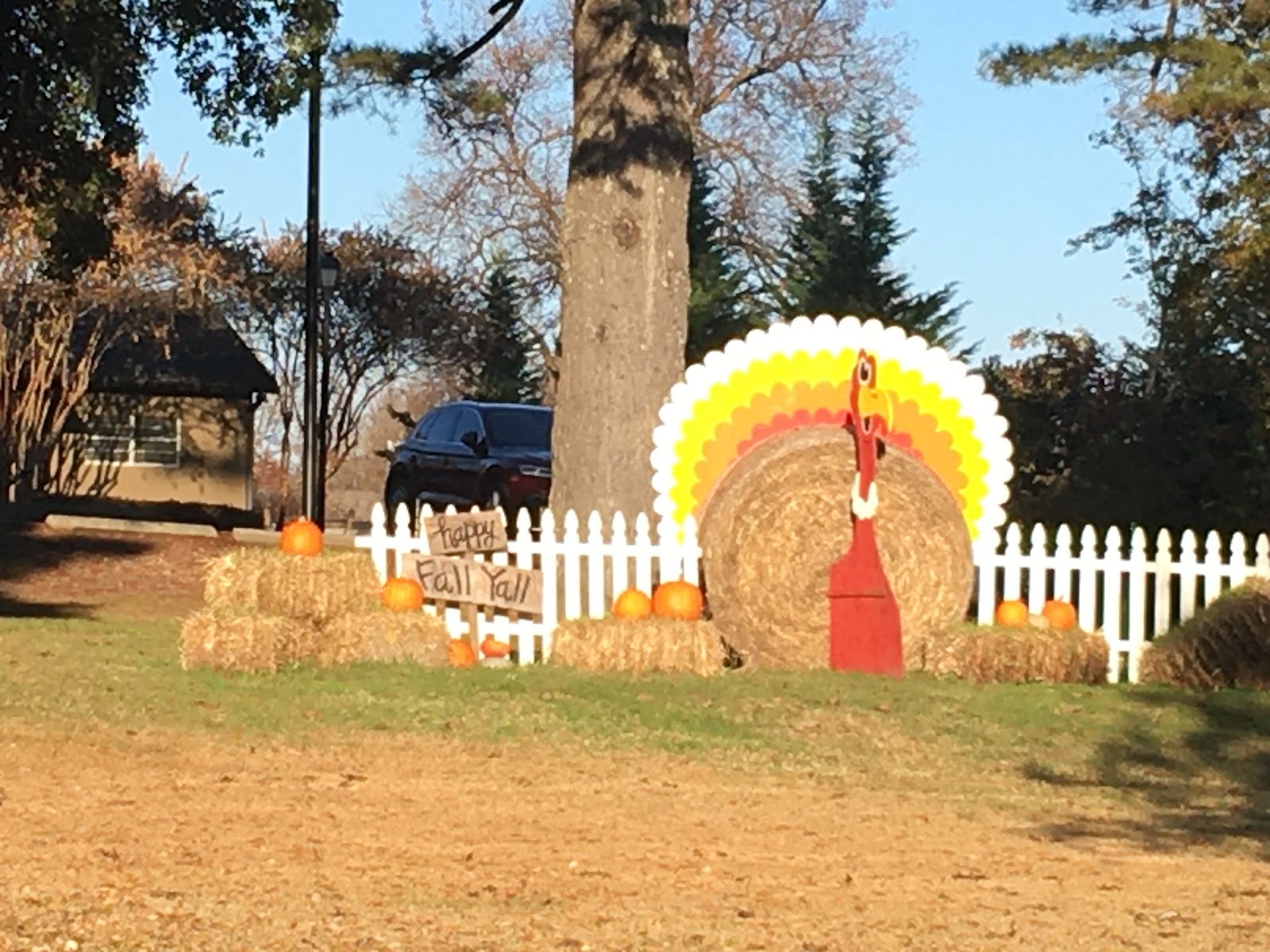 Madison MS cityscape