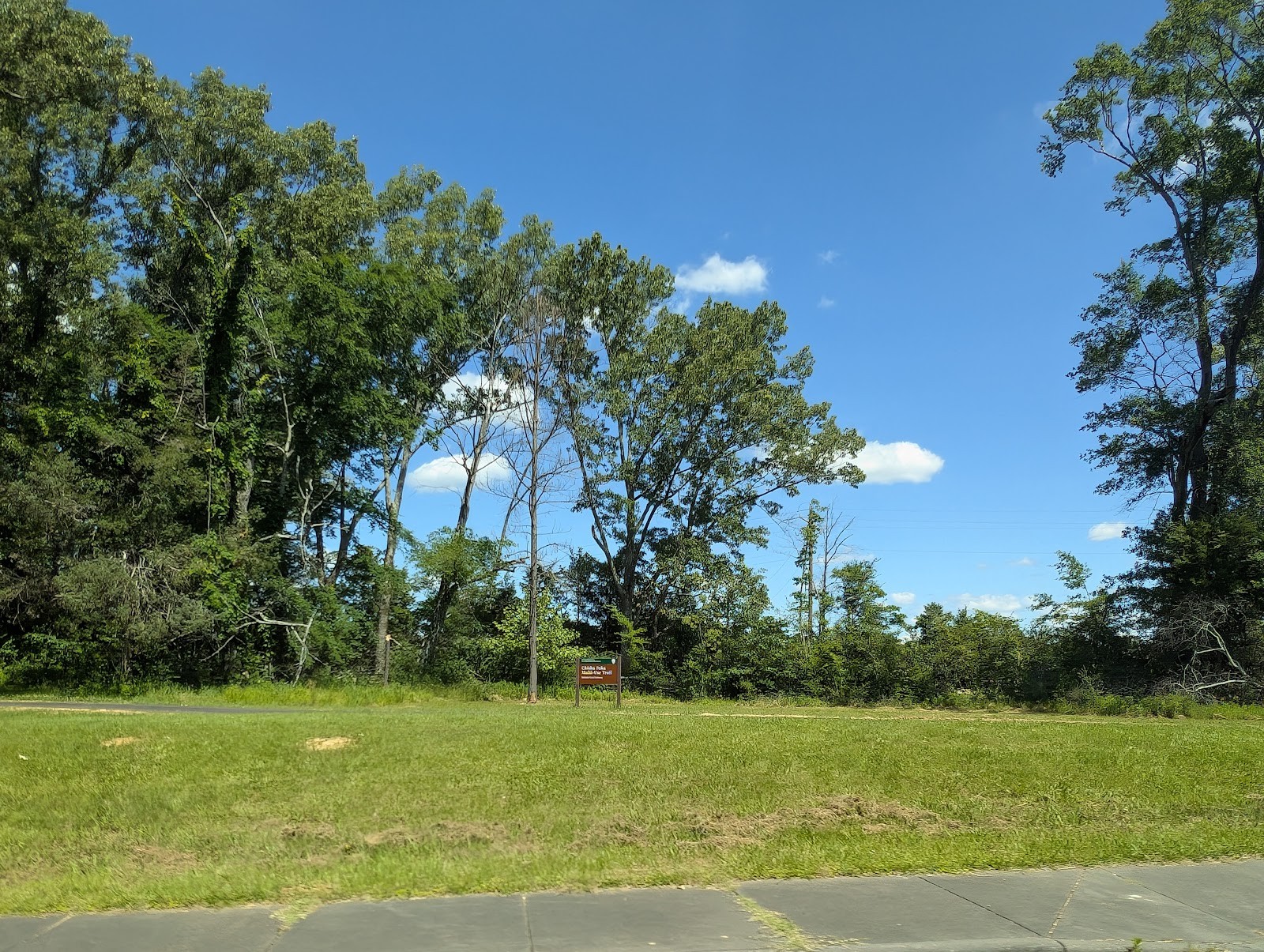 Madison MS cityscape