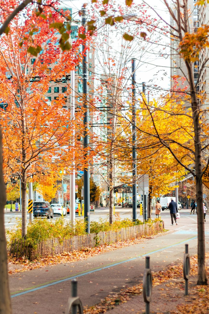 Maple Grove MN cityscape