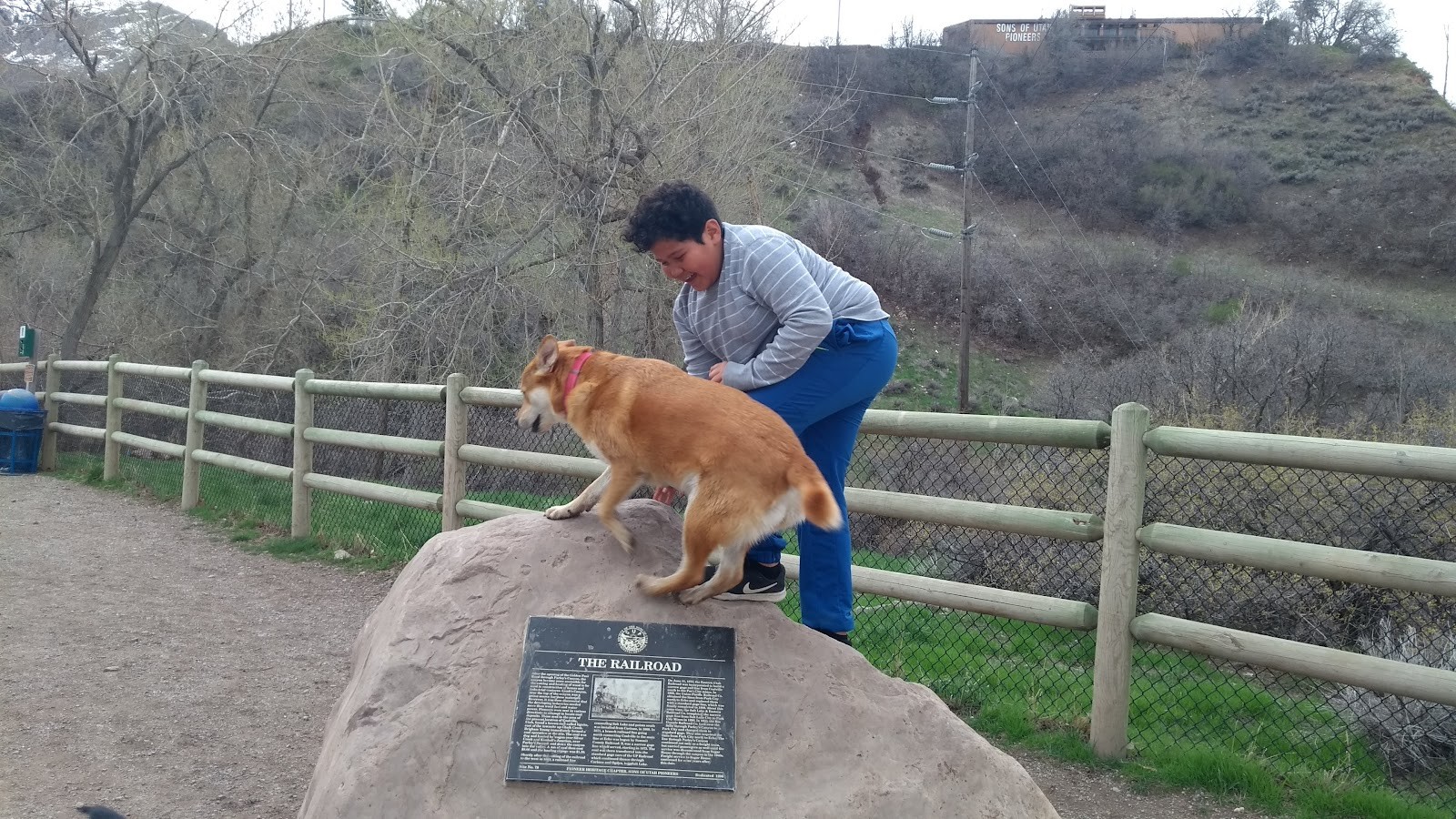 Millcreek UT cityscape