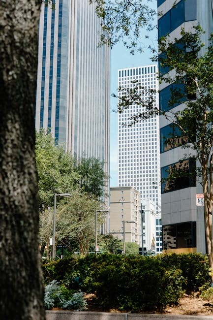 New Orleans cityscape and skyline