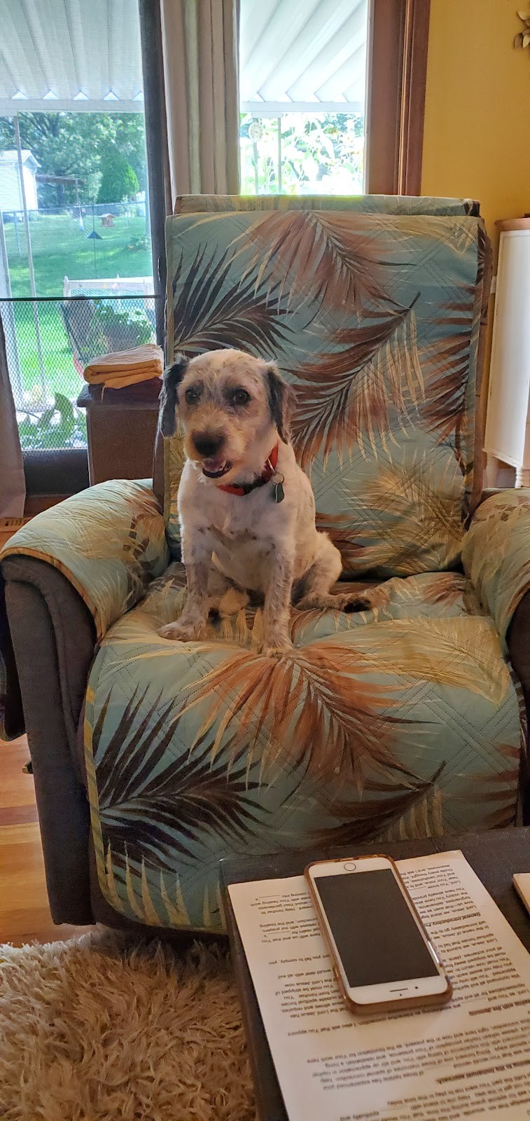 Oakville MO cityscape