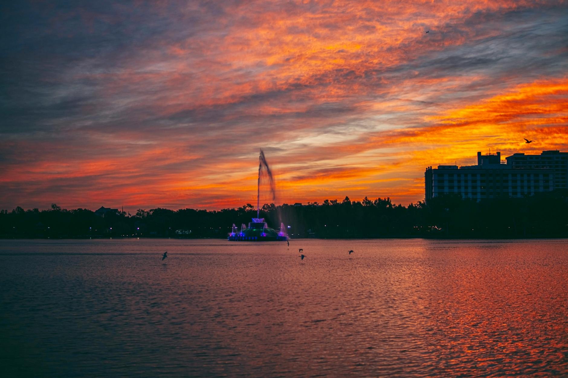 Orlando FL cityscape