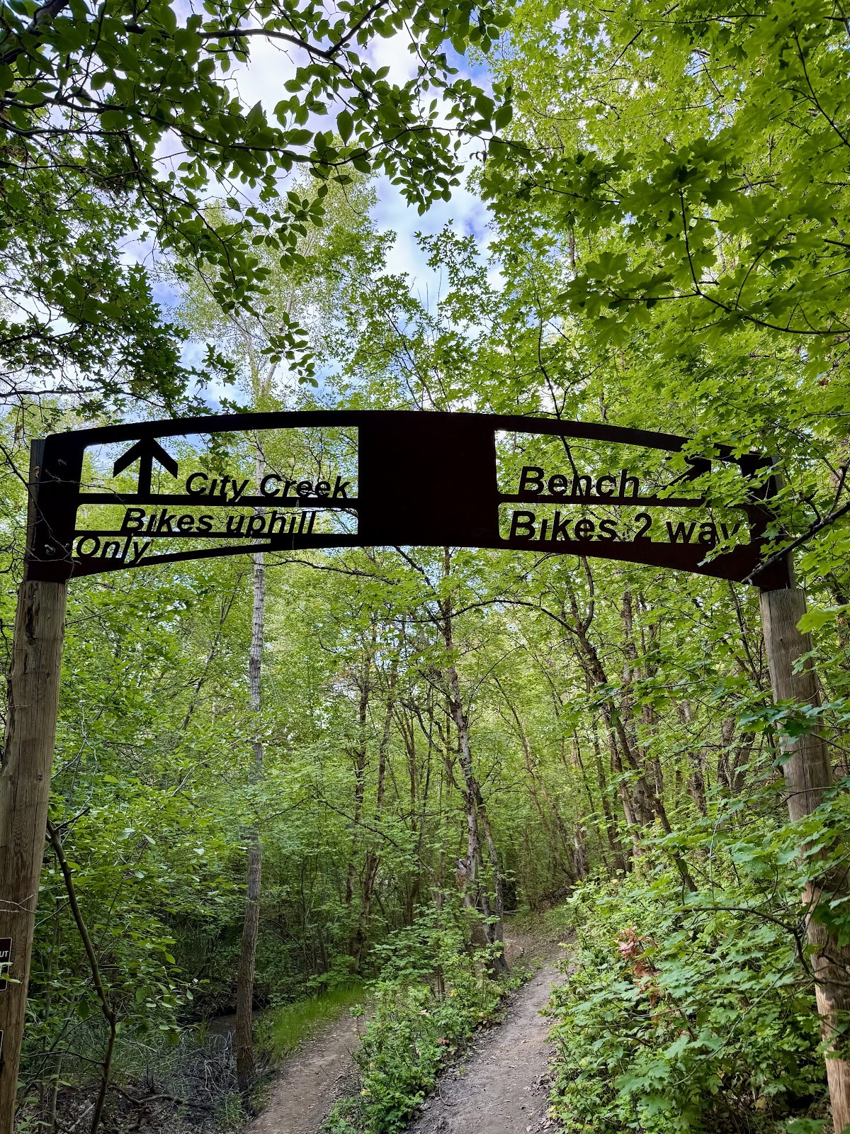 Pocatello ID cityscape