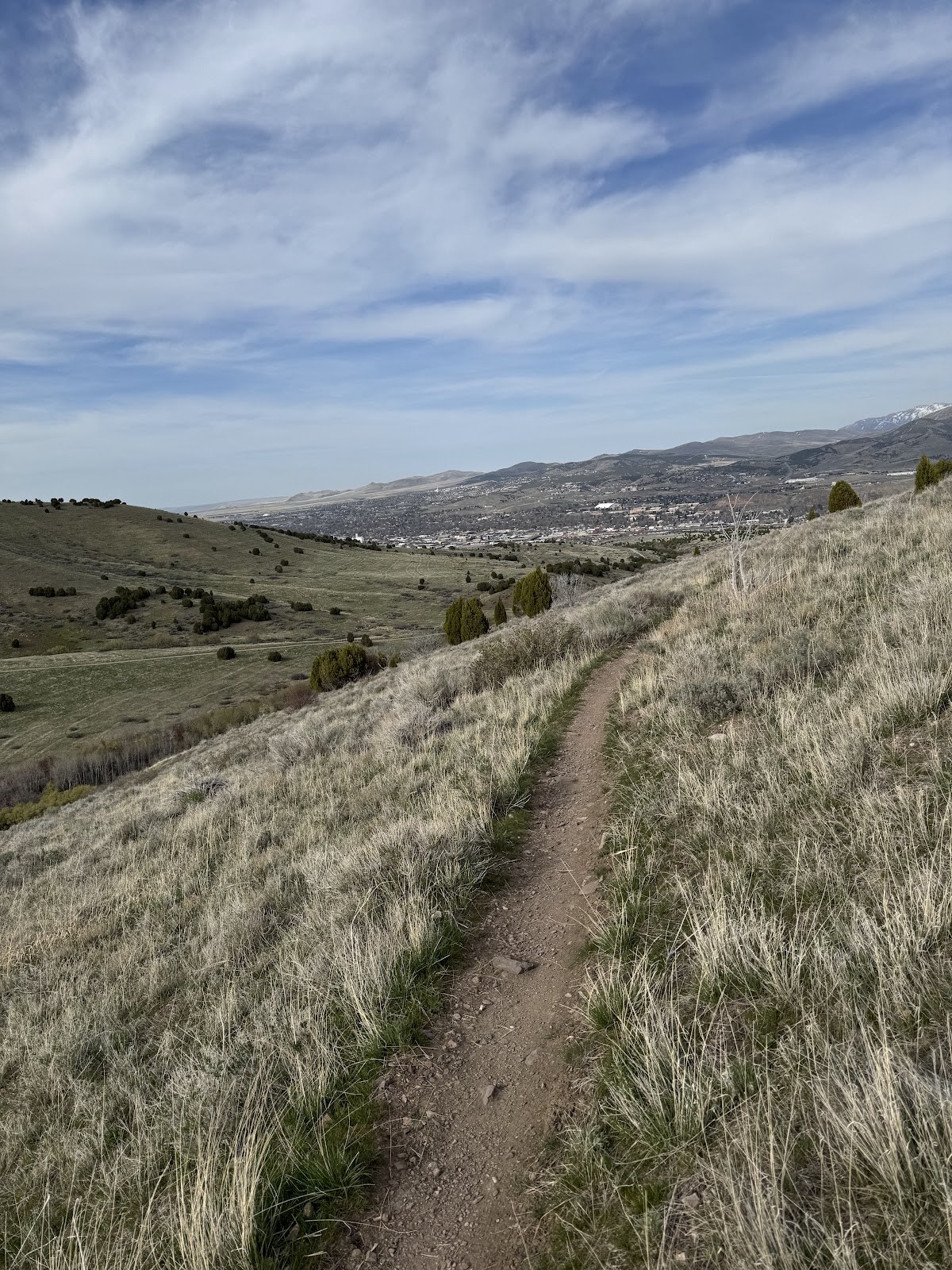 Pocatello ID cityscape