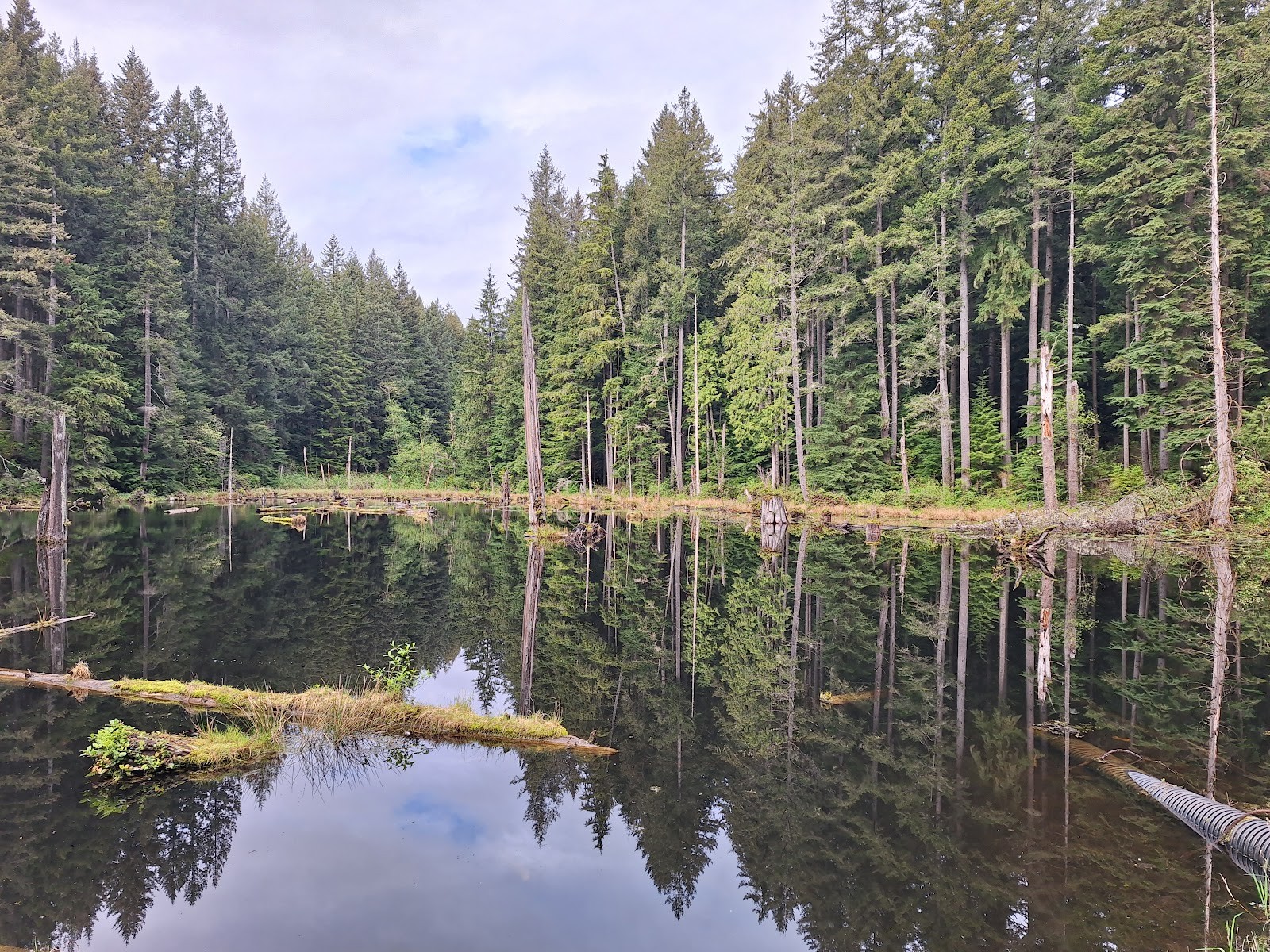 Redmond OR cityscape