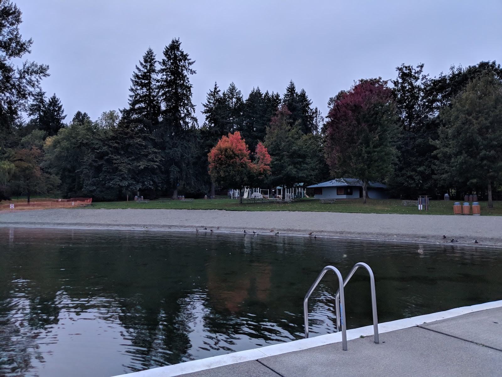 Redmond WA cityscape