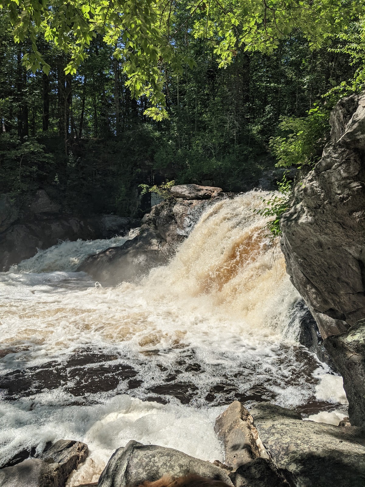 Rochester NH cityscape
