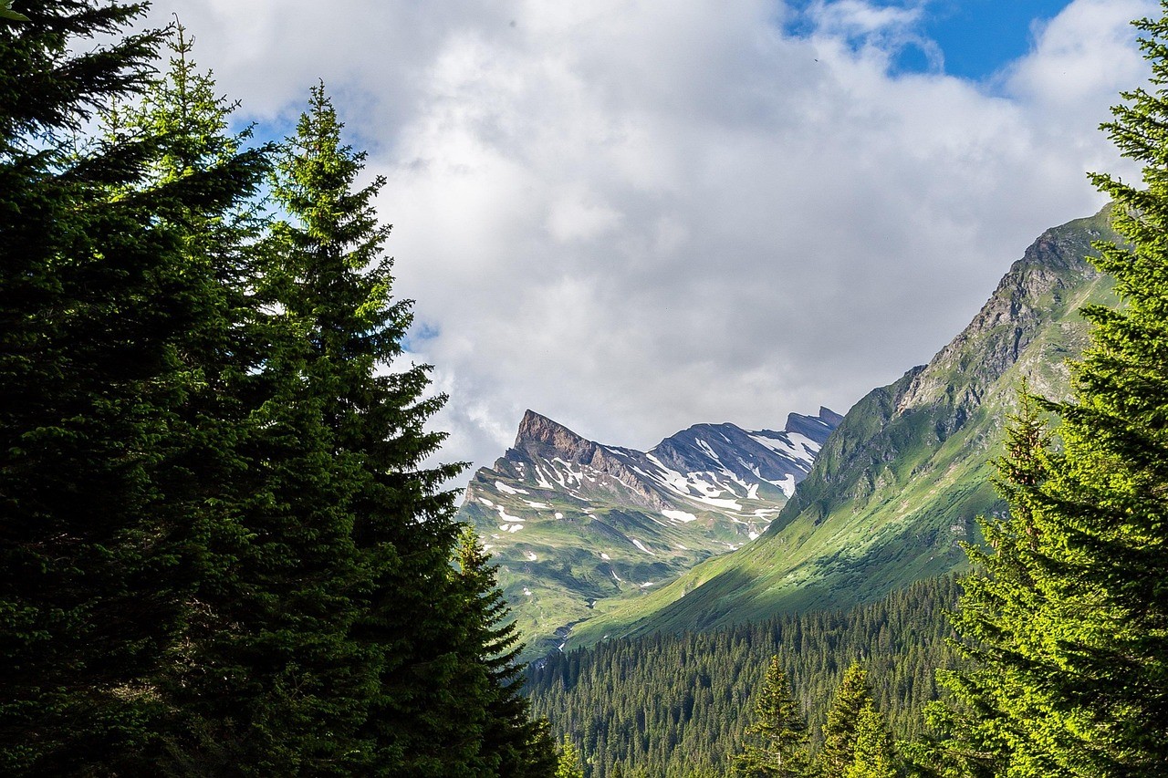 San Bernardino CA cityscape