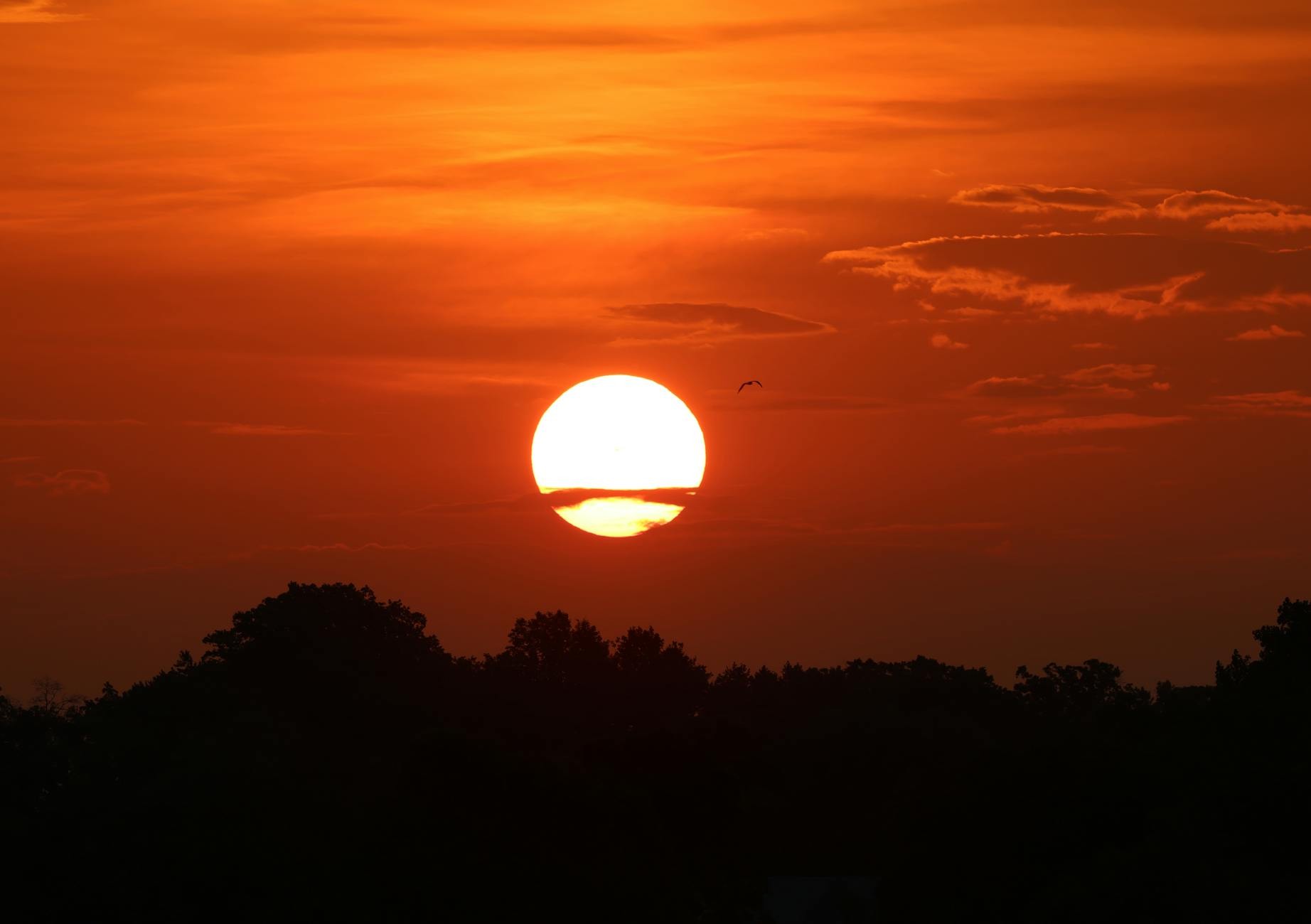Stamford CT cityscape