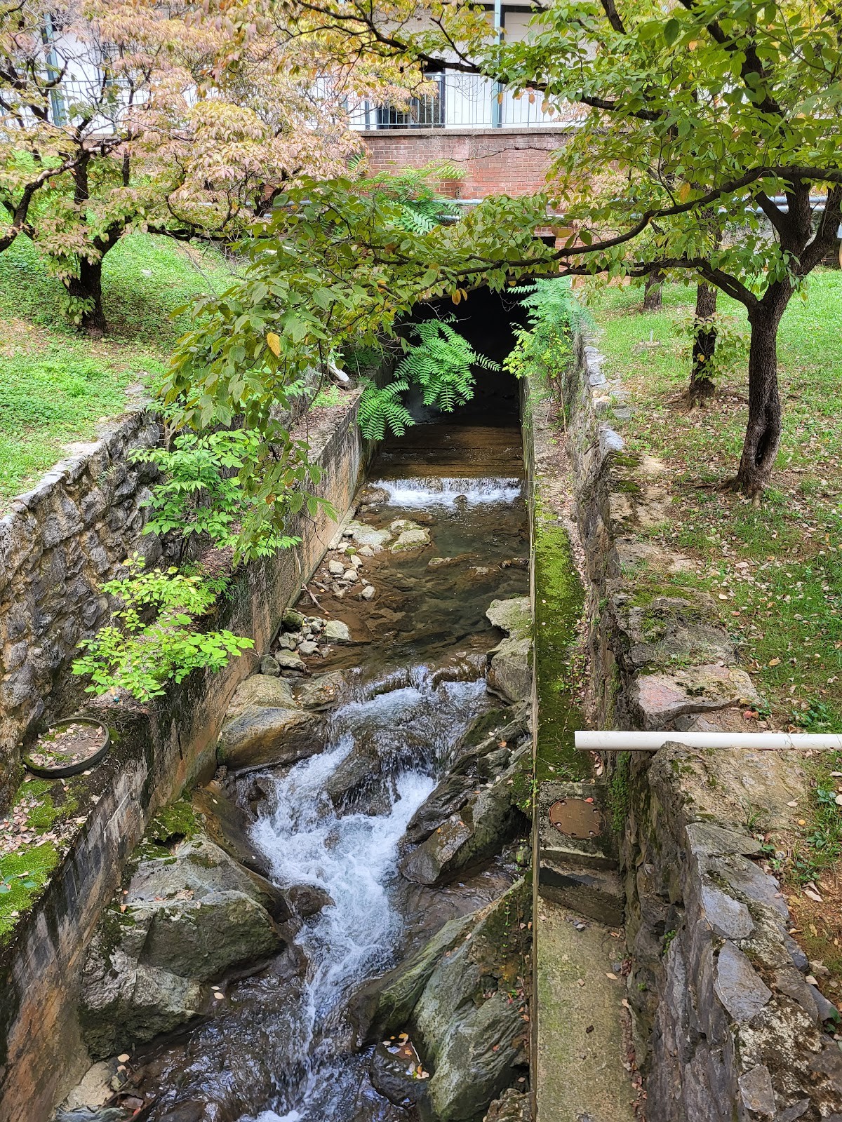 Staunton VA cityscape