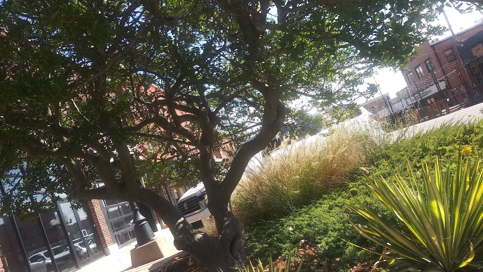 Stillwater OK cityscape