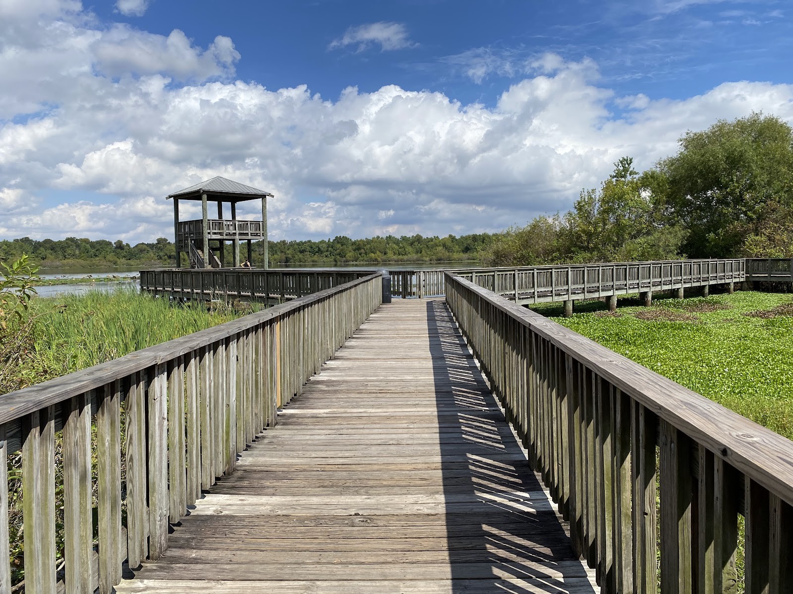 Sugar Land TX cityscape