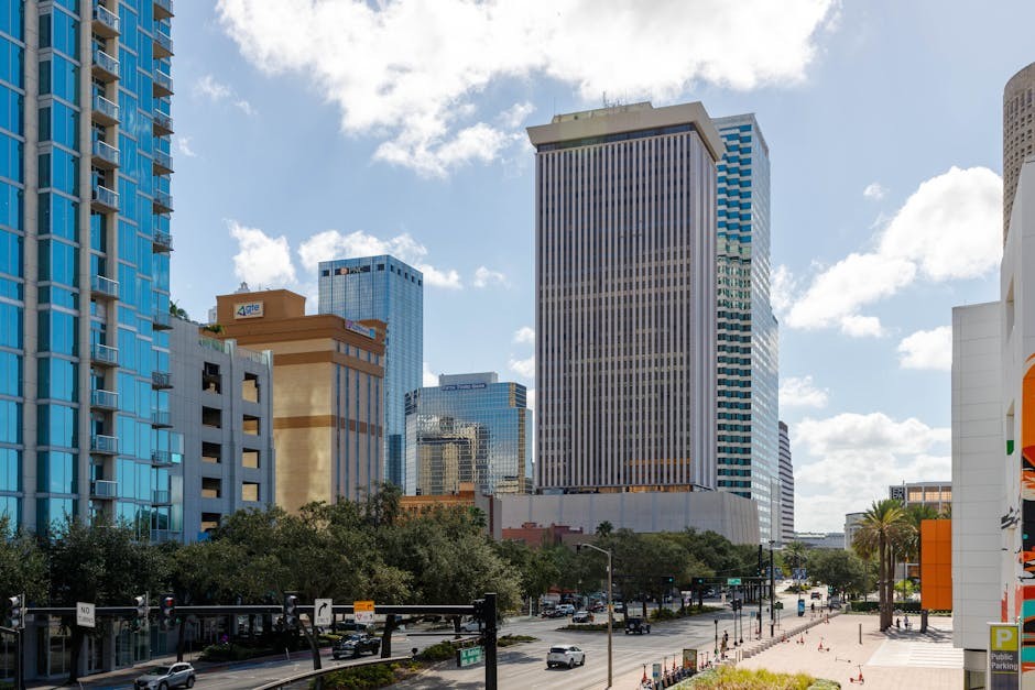 Tampa cityscape and skyline