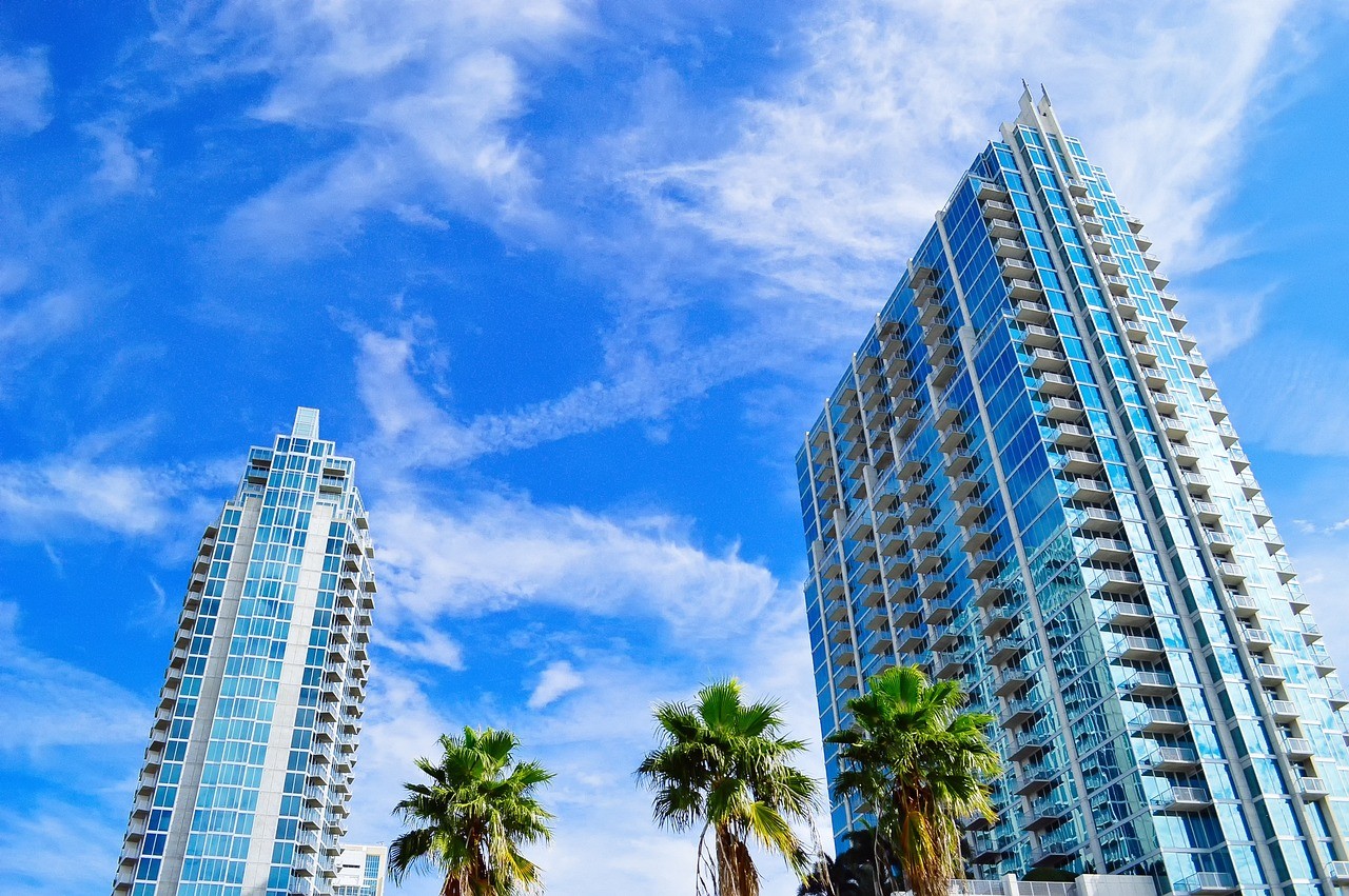 Tampa cityscape and skyline