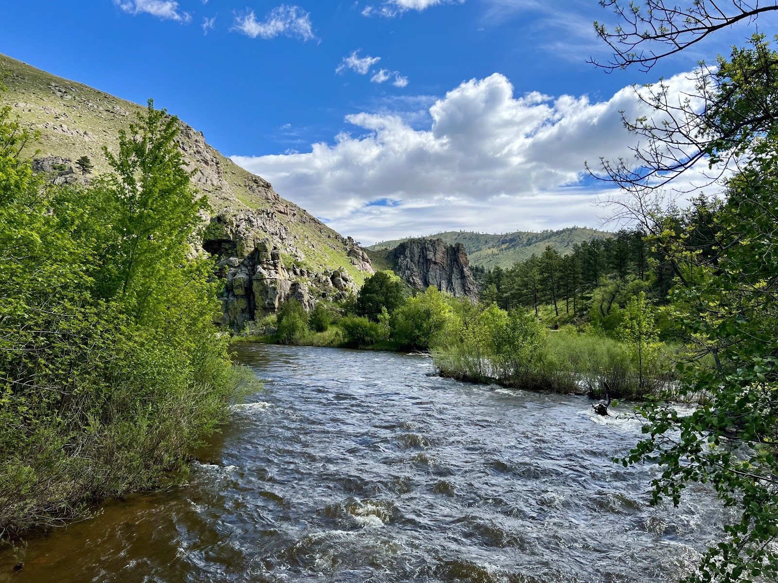 Wellington CO cityscape