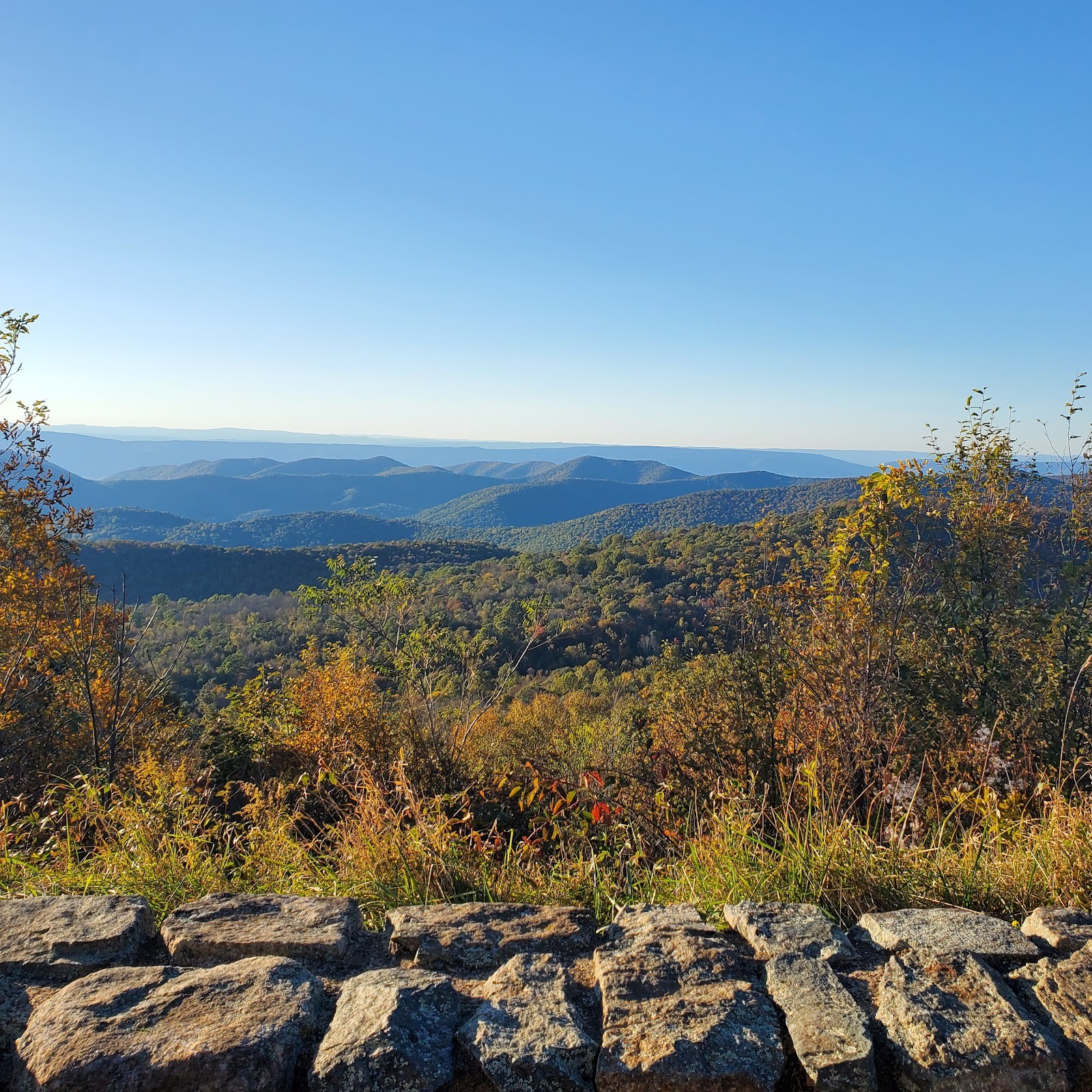Winchester VA cityscape